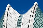 DSH_6884nn