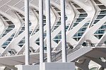 DSH_6887nn