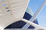 DSH_6925nn