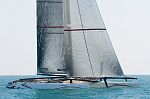 DSH_7655nn