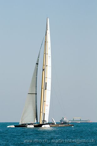 DSH_7766nn.jpg