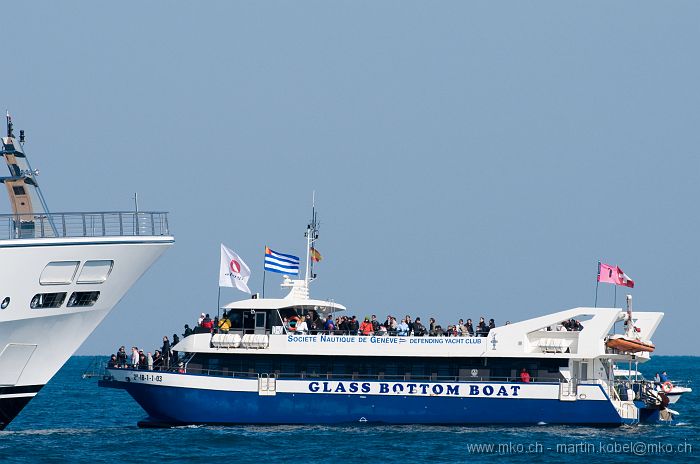 DSH_7549nn.jpg
