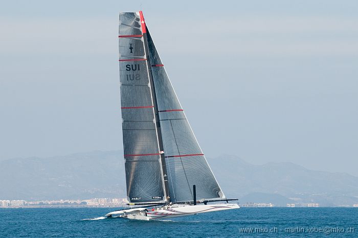 DSH_8309nn.jpg