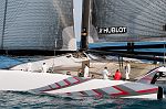 DSH_8265nn