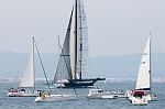 DSH_8495nn