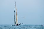 DSH_8626nn