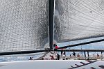 DSH_1188nn