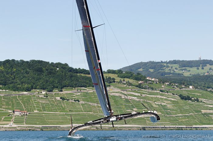 DSG_8959dn.jpg