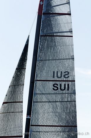 DSG_8969dn.jpg