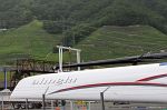 DSG_7274dn