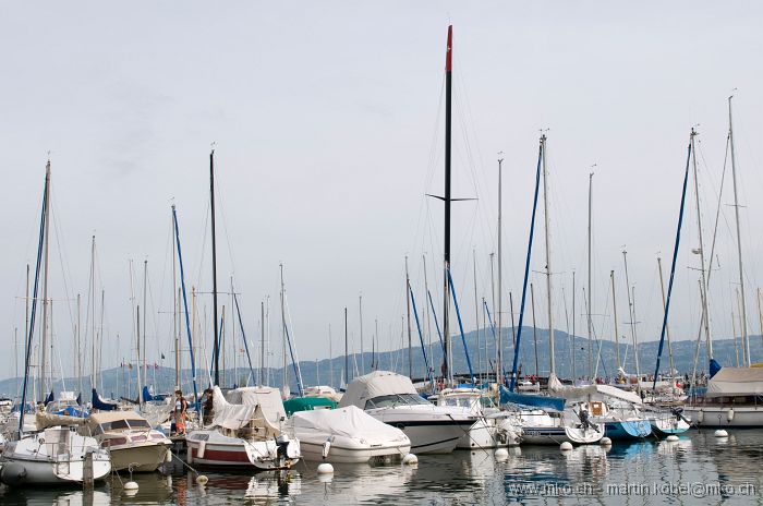 DSH_0729nn.jpg
