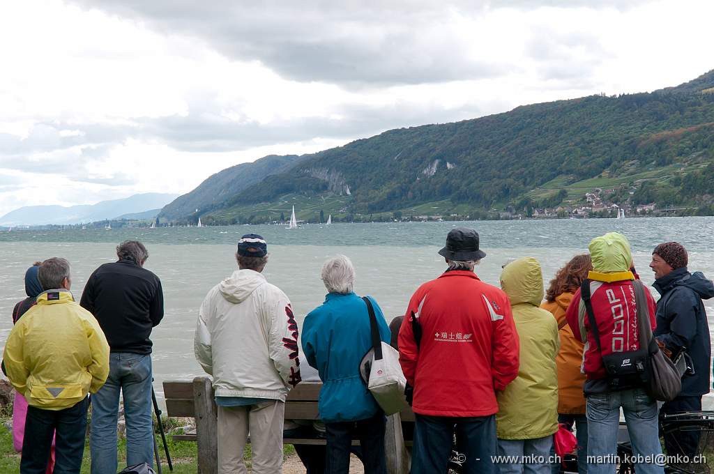 DSC_5384nn.jpg